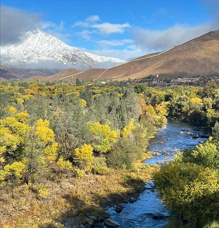 Tree-covered campground beside the Kern River