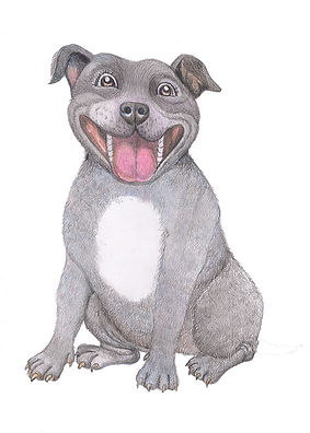 AW Staffy CMYK copy.jpg