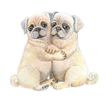 Cuddles 4 website_edited.jpg