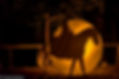 DSCF3118.jpg