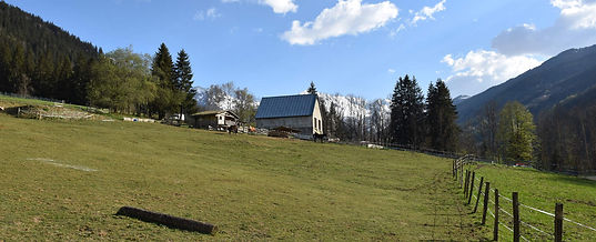 DSC_0327.jpg