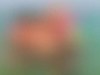 Plivanje u moru: Kako pomoći deci da se opuste i uživaju u vodi?
