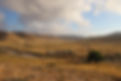 desert-5712992.jpg