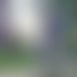 FFLL Round 3 Pics and Results