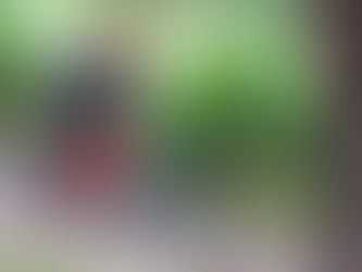 FFLL: Round 4 - Summary and Pics