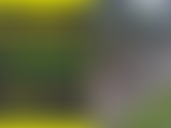 Family/Beginner Social Ride - November