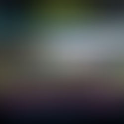 Women's JULY Social Ride (All Skill Levels)