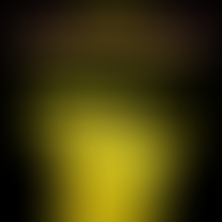 GOLDEN GOAT CHALLENGE 2019 -Vic Endurance Series | Round 1