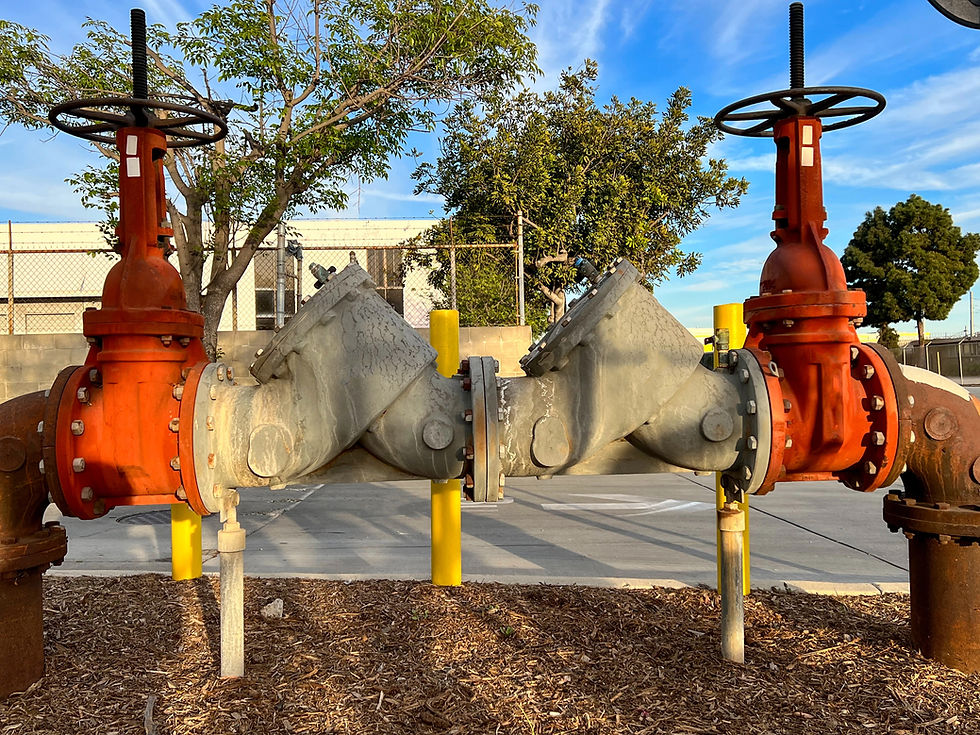 Backflow Preventer