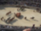 jeux romains Nimes