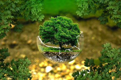 environmental-protection-gcc74503ae_1280.jpg