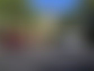 We had a marvelous open house for the GBS Class of ’65!