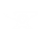 Anvil Studios Logo white.png