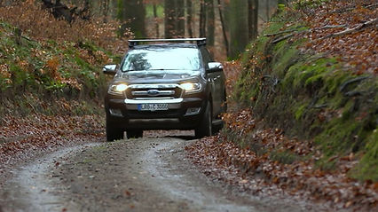 Im Wald 2.jpg