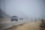 Hwy 21 Fog_2.jpg