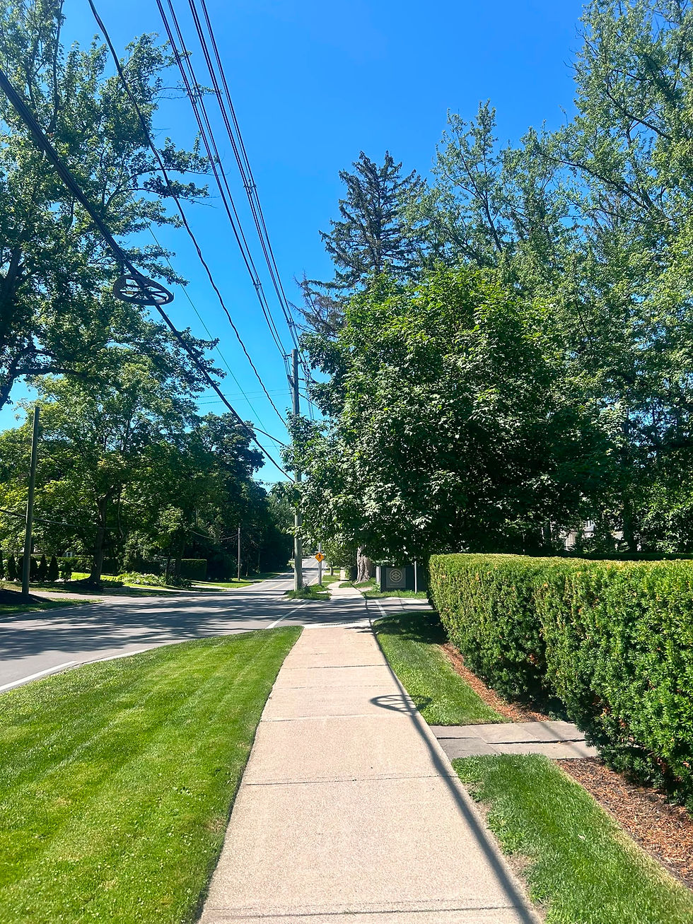 A quiet sidewalk on Chartwell Road, lined with perfectly trimmed hedges