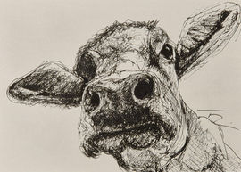 Disegni animali in penna