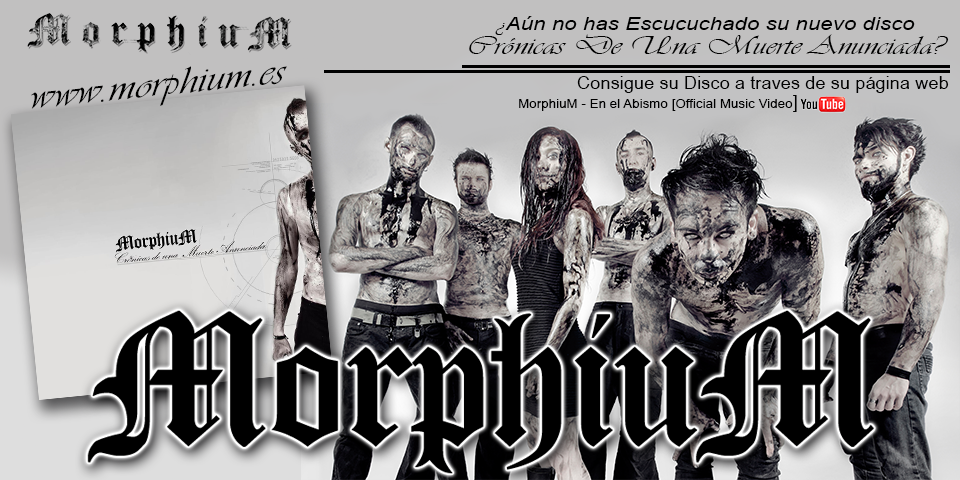 Morphium Banner web.png