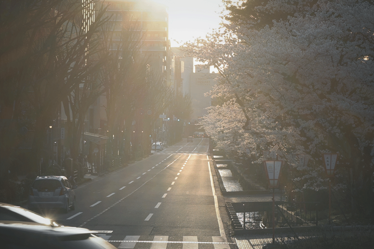 ライン.gif