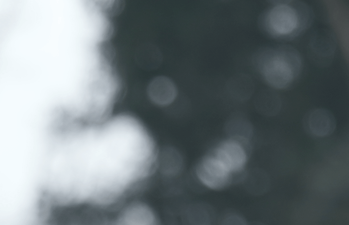 24.gif