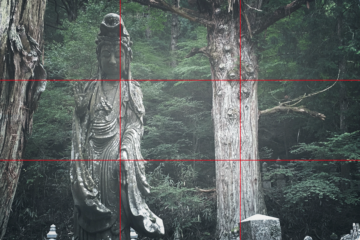 02.gif