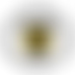 Posposición de la Fecha  Límite para Radicar la Planilla Mensual del IVU