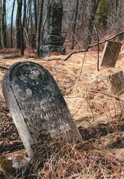 3rd Place – Robert Spencer