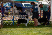 IMG_1268.jpeg