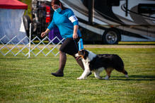 IMG_0798.jpeg