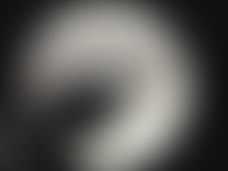 "You Can't Go Back" (1981)