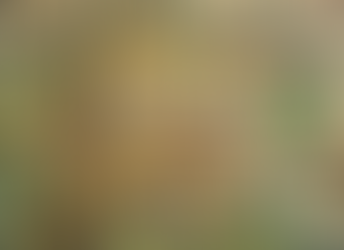 IVp Prime and Totalization