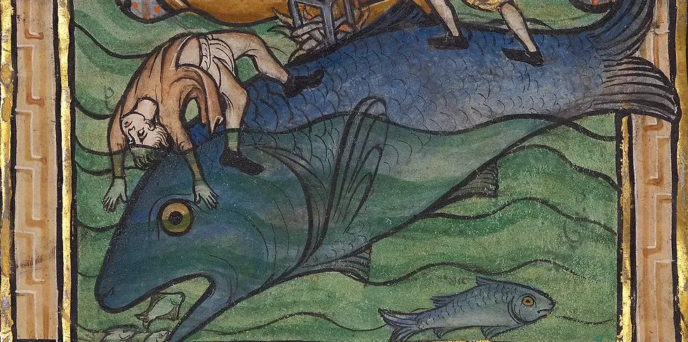 Fish.webp