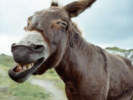 "Live It Again" (1958) and "Of Laughter and the Love of Friends" (1975/1954)