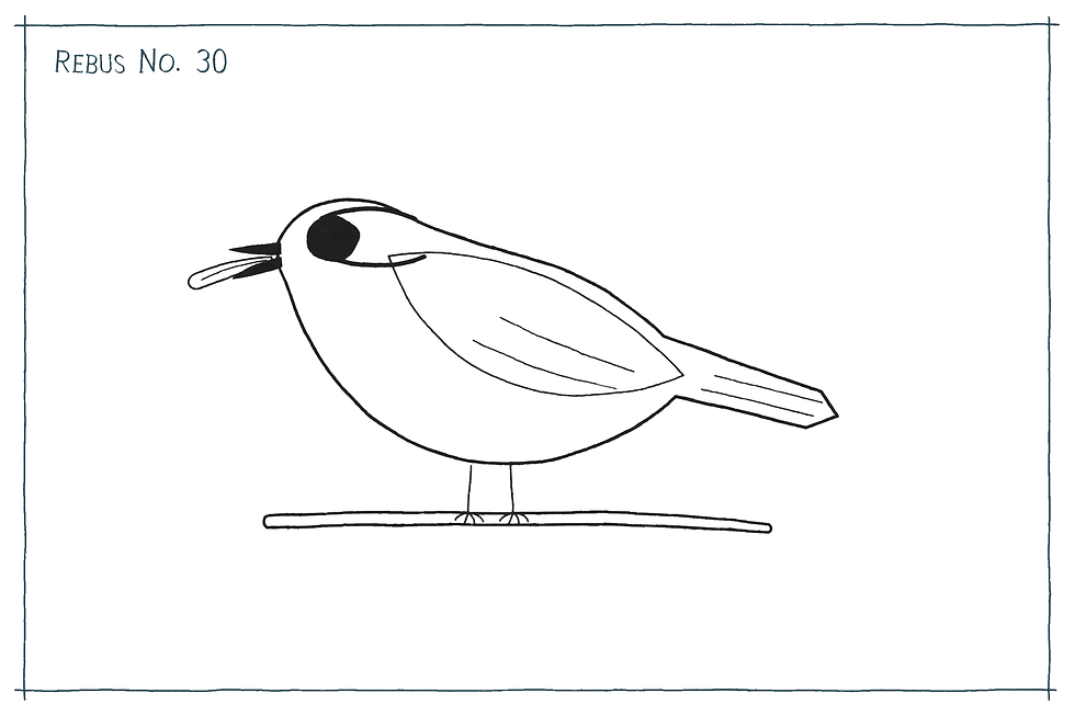 Rebus No. 30: a simple drawing of a bird with a dark patch over one eye.