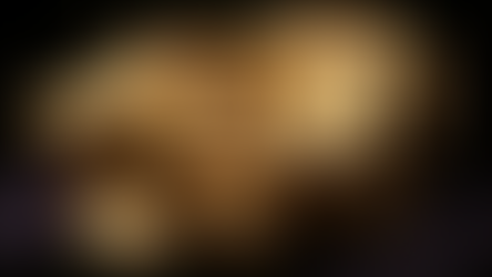 "Golden Trabant" (1960/r1965/1966)