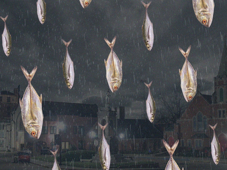 "And All the Skies Are Full of Fish" (1974/1980)