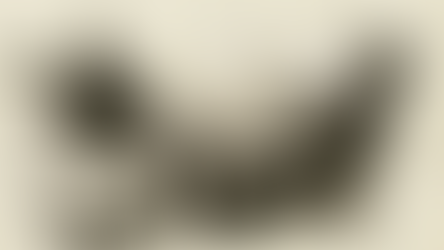 "Two For Four Ninety-Nine" (1975/1984)