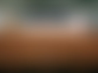 Content and Trigger Warnings in College Classrooms