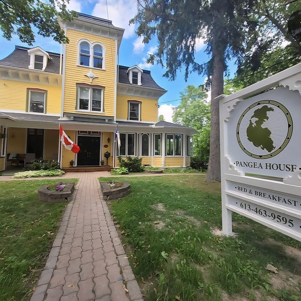 Off the Beaten Path: Pangea House