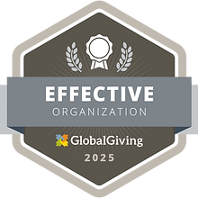 effectiveNonprofit_large (2).png