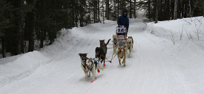 IMG_0037_edited.jpg