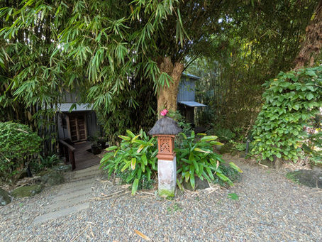 Luxury Pet-Friendly Accommodation What to Check Before You Book
