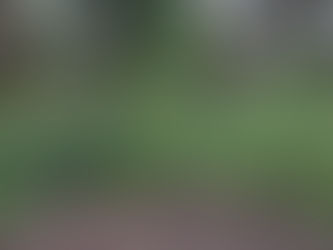 2024 08 27 - And other things died