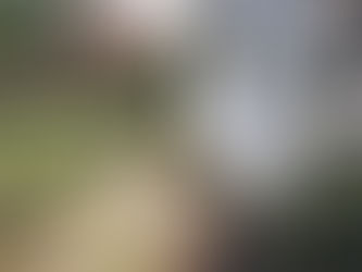 2022 10 10 - The posts are in