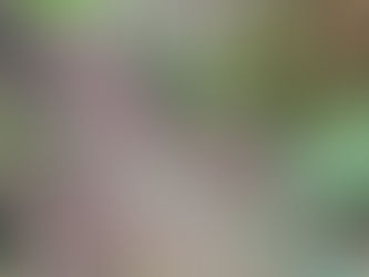 2025 06 11 - About that fence ...