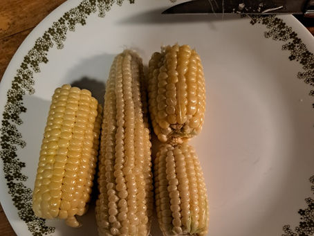 2023 9 23 - Late corn
