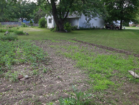 2022 06 06 - Gone a few days