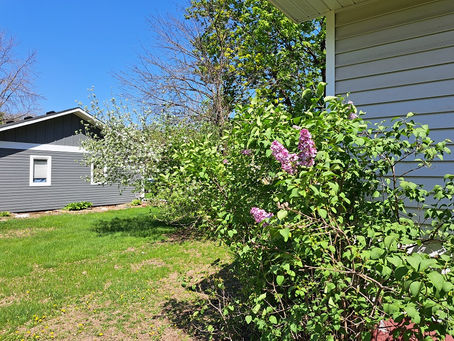 2025 05 12 - Flowers