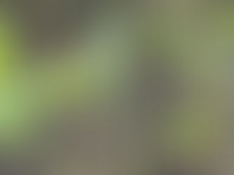 2021 11 02 - Final fruit (veggies)