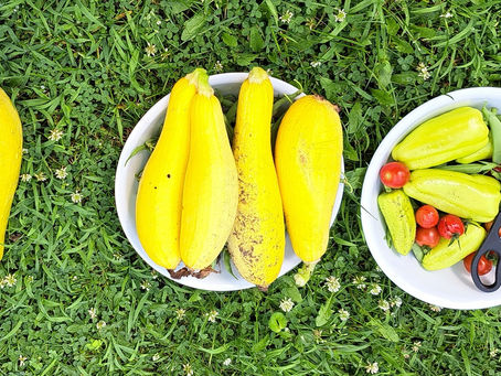 2024 07 16 - Something grew